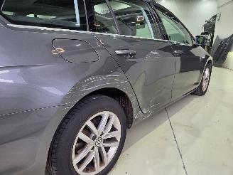 Volkswagen Golf PANO ACC picture 19