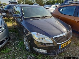 Sloopauto Skoda Fabia Fabia II Combi, Combi 5-drs, 2007 / 2014 1.2 TDI 12V Greenline 2013/6