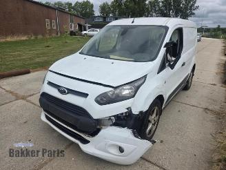 Ford Transit Connect Transit Connect (PJ2), MPV, 2013 1.6 TDCi 16V 95 picture 2