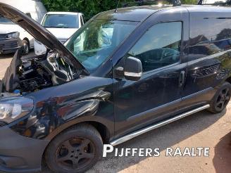 Fiat Doblo Doblo Cargo (263), Van, 2010 1.6 D Multijet picture 1