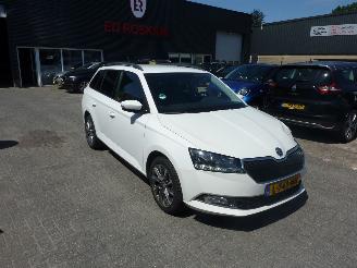 skadebil auto Skoda Fabia 1.0 TSI BUSINESS ED. 2021/6