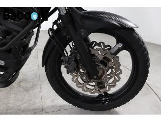 Suzuki DL 650 V-Strom ABS picture 15