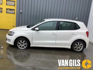 Auto da rottamare Volkswagen Polo Polo V (6R), Hatchback, 2009 / 2017 1.2 TDI 12V BlueMotion 2010/9