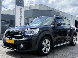 uszkodzony samochody osobowe Mini Countryman 1.5 AUTOM Cooper  Edition AUTOMAAT 2019/5