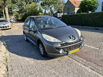 Avarii autoturisme Peugeot 207 1.4 VTi XS 2009/3