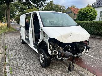 rozbiórka samochody ciężarowe Volkswagen Transporter T6 2018/7