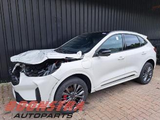 Autoverwertung Ford Kuga Kuga III (DFK), SUV, 2019 2.5 PHEV 16V 2025