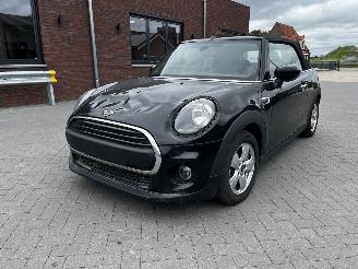 Coche accidentado Mini Cabrio 1.5i WATERSCHADE 2019/9