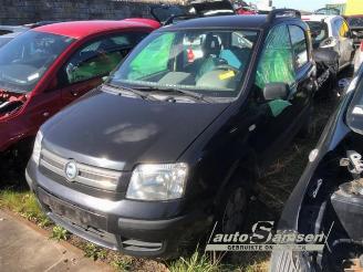 disassembly passenger cars Fiat Panda Panda (169), Hatchback, 2003 / 2013 1.2 Fire 2004/2