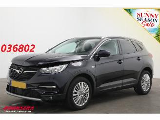 uszkodzony samochody osobowe Opel Grandland 1.2 Turbo Aut. Innovation LED Apple/Android Cruise Camera LRHZ SHZ 2019/1
