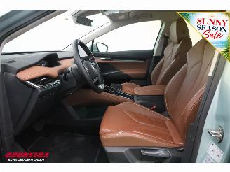 Skoda Enyaq 60 Leder Apple/Android Cruise Camera PDC picture 18