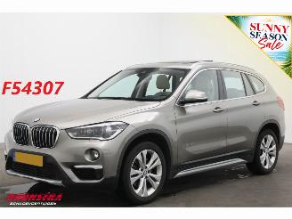 Coche accidentado BMW X1 xDrive20i AUT Centennial HE Pano ACC Navi Clima Camera PDC 2016/11