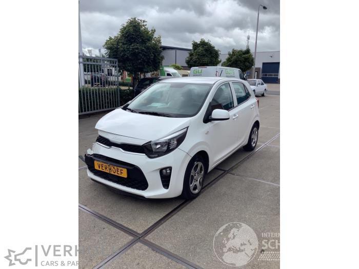 Kia Picanto Picanto (JA), Hatchback, 2017 1.0 DPi 12V