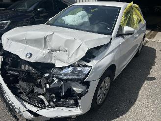 Skoda Fabia 1.0 TSI  Selection picture 1