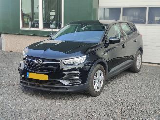 Coche accidentado Opel Grandland 1.2 Turbo Edition Cruise Trekhaak 2020/1