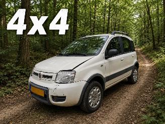 Fiat Panda 1.2 Climbing 4x4 picture 1
