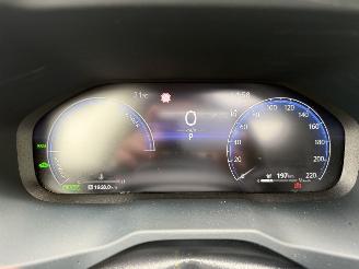 Toyota Rav-4 2.5 Hybrid / 131 KW / Panorama dak picture 14