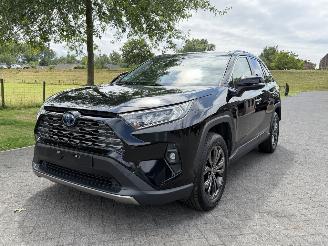 Toyota Rav-4 2.5 Hybrid / 131 KW / Panorama dak picture 2