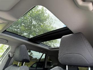 Toyota Rav-4 2.5 Hybrid / 131 KW / Panorama dak picture 12