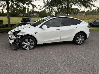 Schadeauto Tesla Model Y RWD 58 kWh / Panorama 2023/10