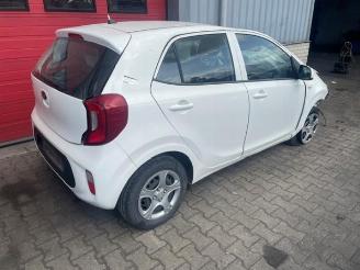 Kia Picanto Picanto (JA), Hatchback, 2017 1.0 12V picture 2