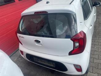 Kia Picanto Picanto (JA), Hatchback, 2017 1.0 12V picture 3