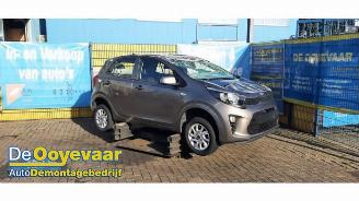  Kia Picanto Picanto (JA), Hatchback, 2017 1.0 12V 2019/10