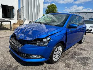 Schadeauto Skoda Fabia 1.0 TSI Ambition 2021/1