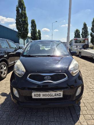 demontáž osobní automobily Kia Picanto (TA) Hatchback 1.0 12V (G3LA) [51kW] 5-BAK 2012/1