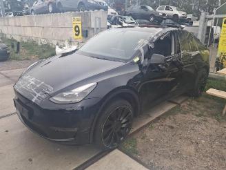 Tesla Model Y Model Y (5YJY), SUV, 2019 / 2025 Long Range,Performance picture 1