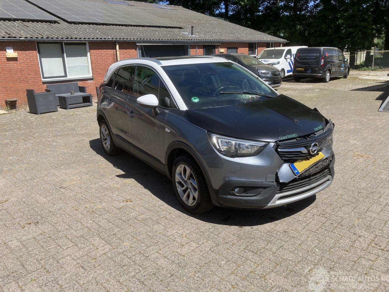 Opel Crossland PANODAK