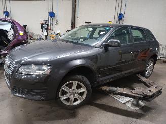 Purkuautot passenger cars Audi A3 A3 Sportback (8PA) Hatchback 5-drs 1.4 TFSI 16V (CAXC) [92kW]  (09-200=
7/03-2013) 2009/9