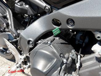 Yamaha MT-09  picture 18