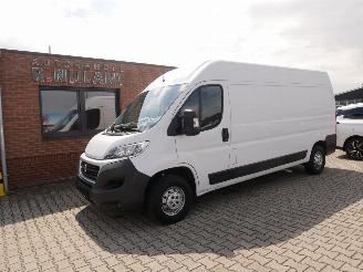 occasion commercial vehicles Fiat Ducato L3H2 2019/5