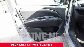 Opel Combo Combo, Van, 2012 / 2018 1.6 CDTI 16V ecoFlex picture 16