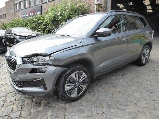 skadebil auto Skoda Karoq Ambition 2024/1