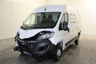 disassembly passenger cars Opel Movano  2023/6