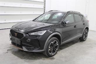 Vaurioauto  passenger cars Cupra Formentor  2024/2