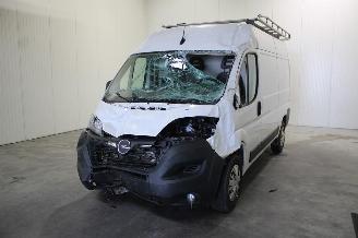  Opel Movano  2024/2