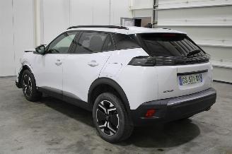 Peugeot 2008  picture 4