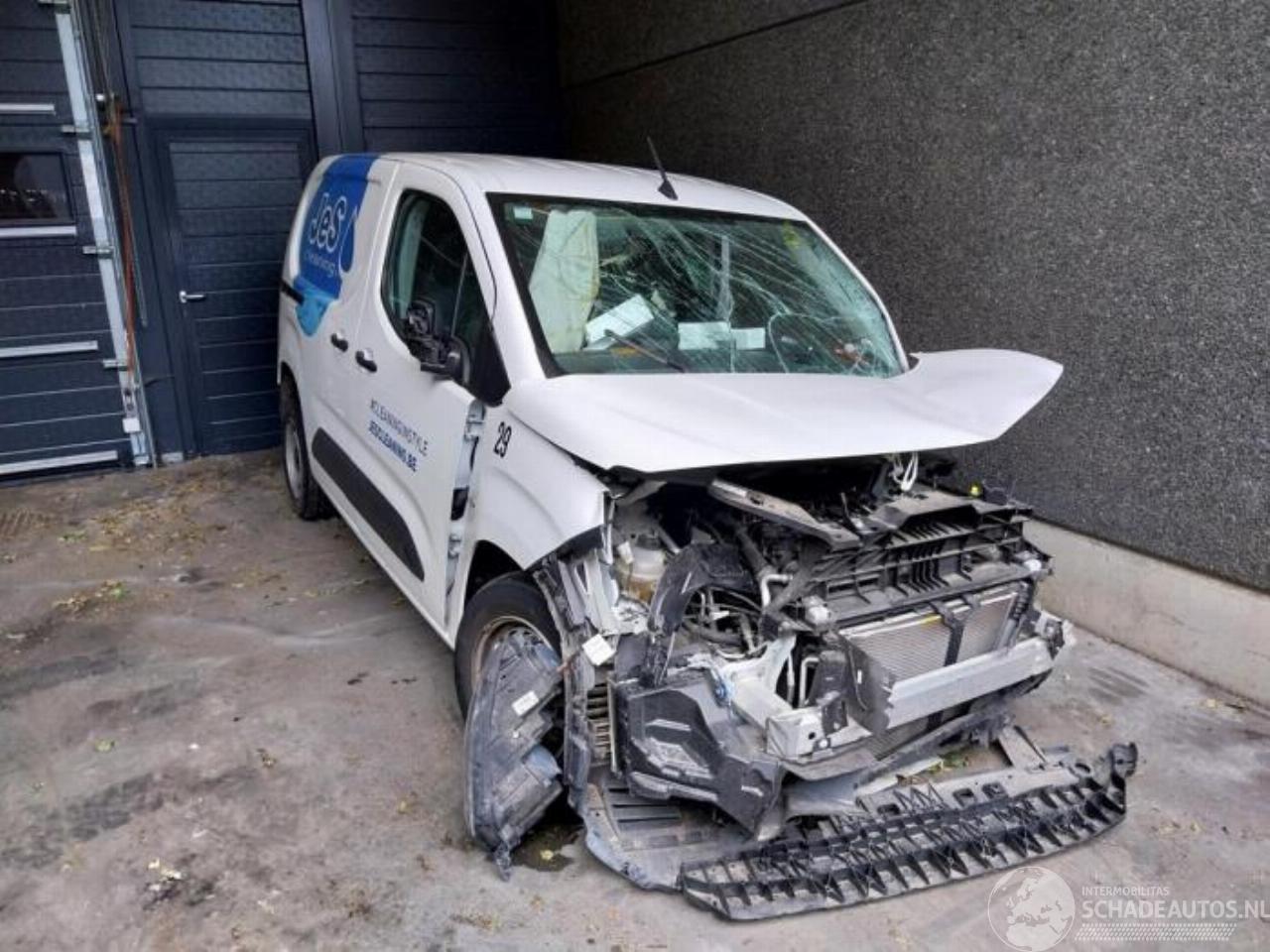 Citroën Berlingo Berlingo, Van, 2018 1.5 BlueHDi 100