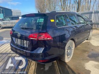 Volkswagen Golf Golf VII Variant (AUVV), Combi, 2013 / 2021 1.4 TSI 16V picture 5
