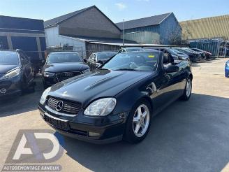 Sloopauto Mercedes SLK SLK (R170), Cabrio, 1996 / 2004 2.0 200 16V 2000/1