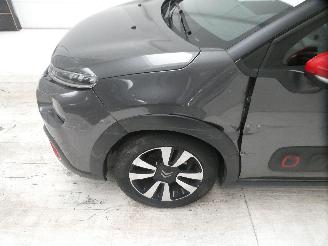 Citroën C3 III SHINE picture 6