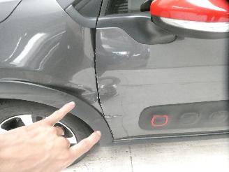 Citroën C3 III SHINE picture 7
