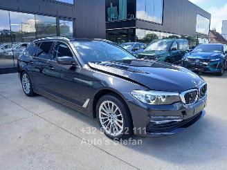 Damaged car BMW 5-serie  2020/9