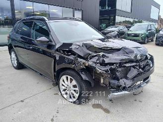 Skoda Kamiq AMBITION 2024/6