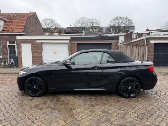 BMW 2-serie 218i M PAKKET CABRIO picture 16