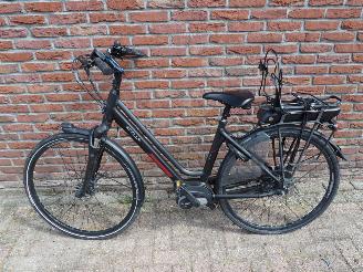 Schade fiets Stella  Vincenza 2024/6
