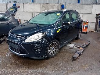 Démontage voiture Ford Grand C-Max Grand C-Max (DXA) MPV 1.6 EcoBoost 16V (JQDA(Euro 5)) [110kW]  (12-201=
0/06-2019) 2011/7